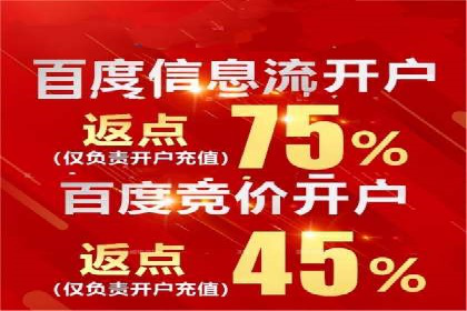 搜索引擎竞价推广实战：行业领先企业的成功秘诀
